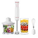 Mixeur plongeur 4 in 1 LHB-1605