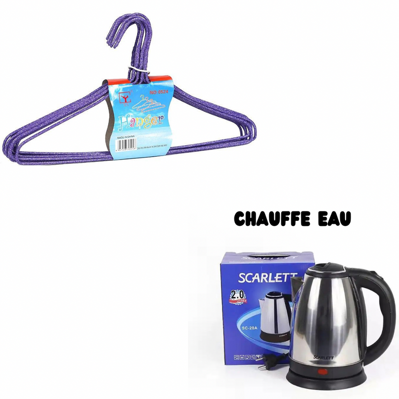 Bouilloire électrique 2 litres plus thermos offert moins cher, castor